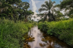 DRC River