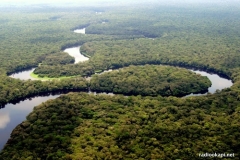 Rivière dans le parc national de la Salonga, Équateur, 2005.