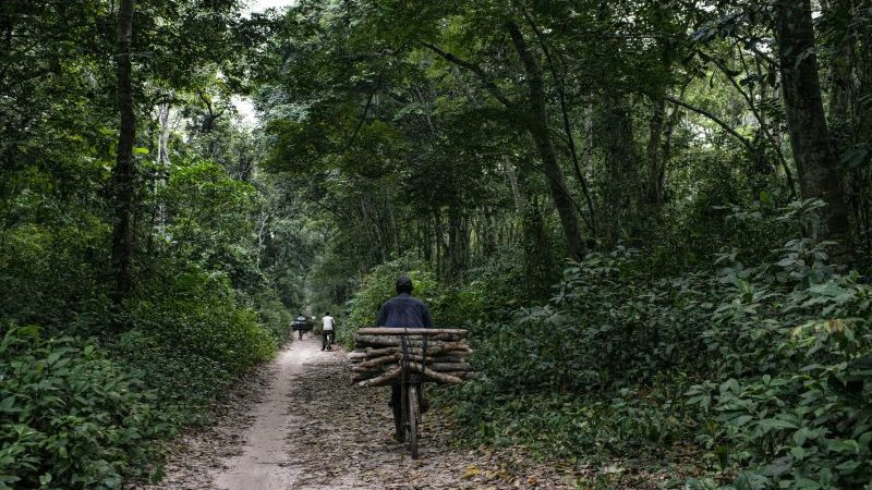 Mozambique & DRC sign landmark deals with World Bank to Cut Carbon Emissions and Reduce Deforestation